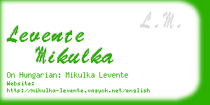 levente mikulka business card